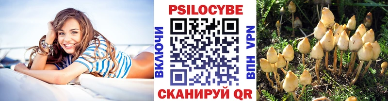 KRAKEN как зайти  Лихославль  Псилоцибиновые грибы прущие грибы  как найти  